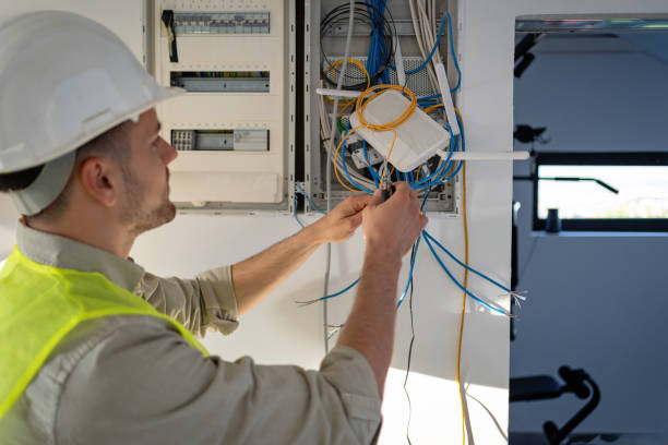 Best Electric Panel Repair  in Clinton, MO